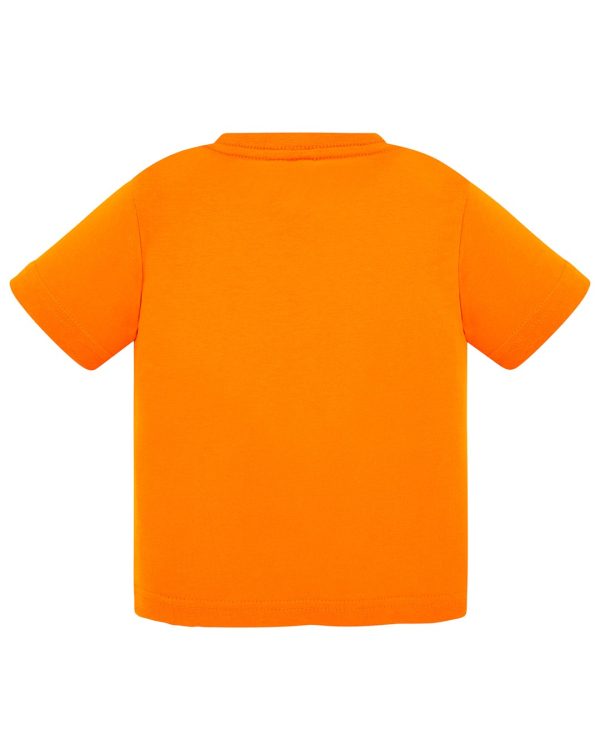 TSRB 150 OR 2 - obrazek 2